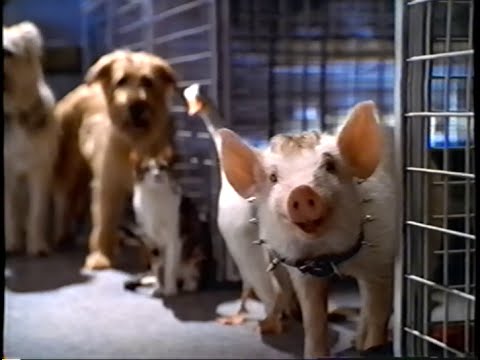 Babe: Pig in the City 1998 ‧ Family/Adventure ‧ 1h 37m